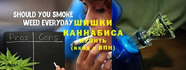 МДПВ Краснослободск