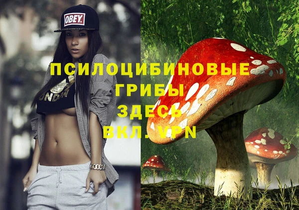 МДПВ Краснослободск