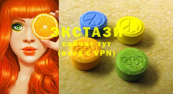 МДПВ Краснослободск