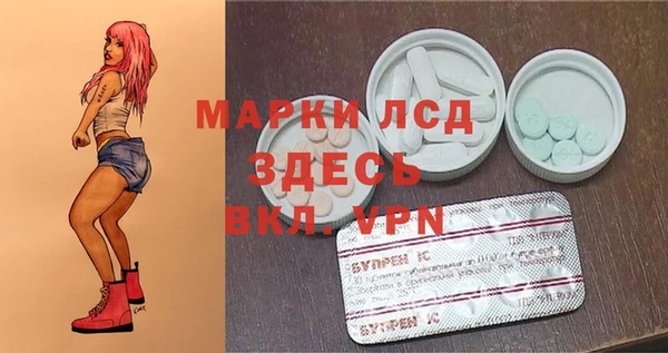 МДПВ Краснослободск