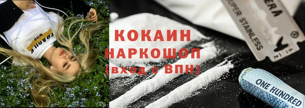 МДПВ Краснослободск