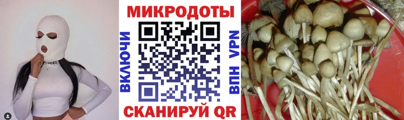 Псилоцибиновые грибы ЛСД где найти Горячеводский