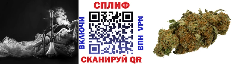 где купить наркоту  Горячеводский  Бошки Шишки ГИДРОПОН 